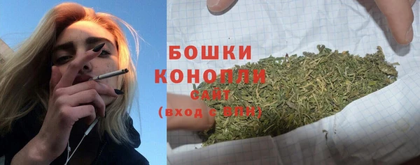 первитин Заводоуковск