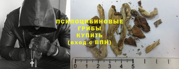 mdpv Елабуга
