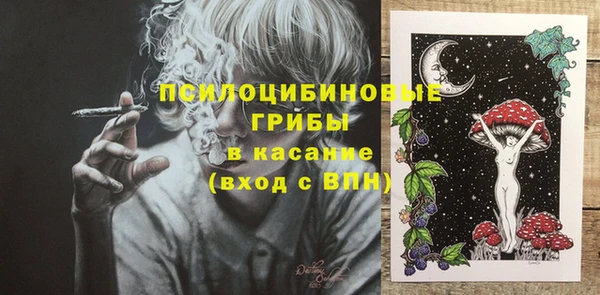 ешки Елизово
