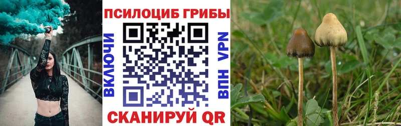 Галлюциногенные грибы MAGIC MUSHROOMS Правдинск